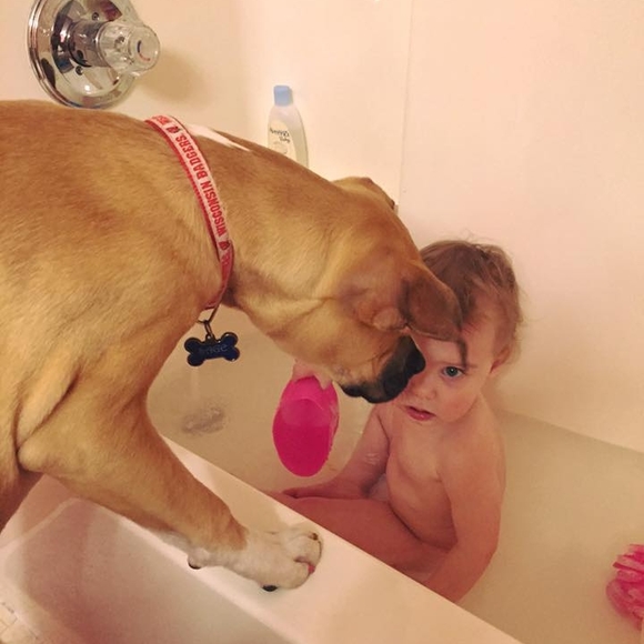 Meet your Posher, Mary - Picture 1 of 1